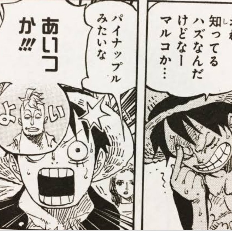 ワンピースのマルコが仲間入り 麦わらの一味に入る可能性を考察 テレビっ子は今日もゆく