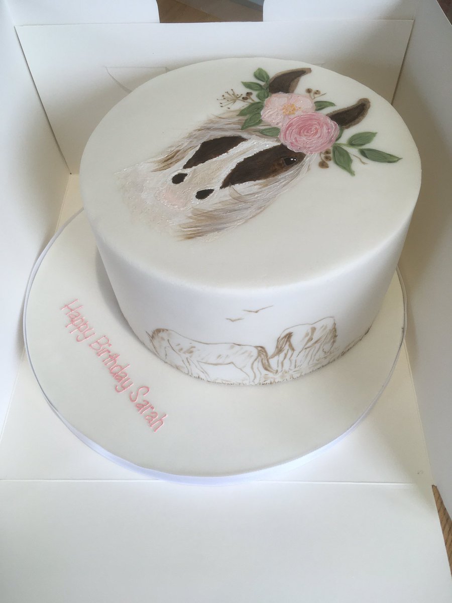 Here is a pretty pony. This little cake went to London. #handpainted #paintedcake #porshamcakes #chocolatecake #cake #cakeprofessional #devon #cakesupplierdevon #devonlife #womeninbusiness #plymouthwomeninbusiness