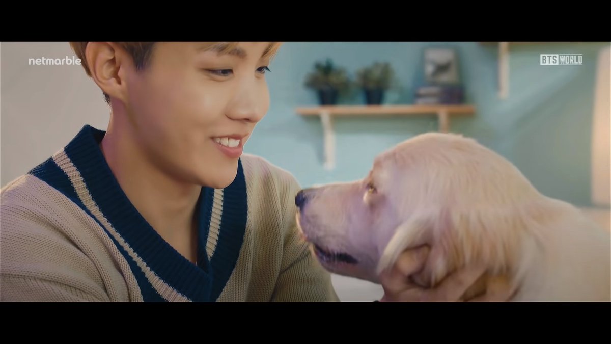 Did anyone think that the dog was from BTSW? I did. It's not the same dog of course, but my mind went straight to that one. @BTS_twt