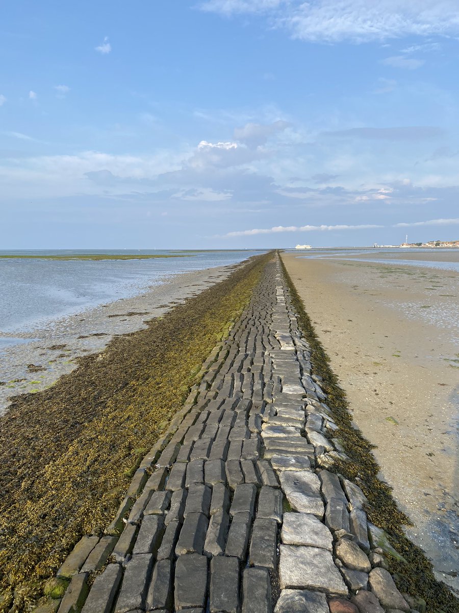 rc_hofman's tweet photo. #beautifulterschelling #terschelling @terschellingvvv #aphroditelemmer #tweemaster #dewalvisterschelling #groenestrand https://t.co/A1ODrU00Jv