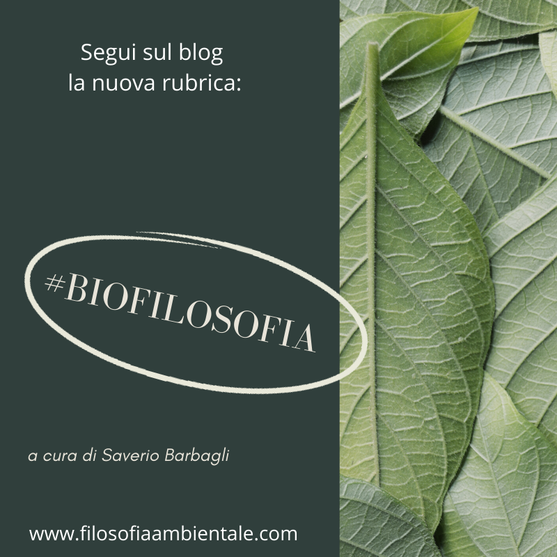 rm_srl's tweet photo. Biofilosofia; la nuova rubrica del blog filosofia ambientale leggi l'articolo; https://t.co/JiPdenCzNe https://t.co/hndmB84VBI