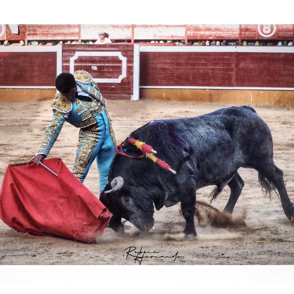 RHernando_Photo's tweet photo. “El éxito consiste en obtener lo que se desea. La felicidad en disfrutar lo que se obtiene” 🙃

📍 Soria 2019 - @RubenPinarR 
📸 @RHernando_Photo 
_ _ _ _ _ _ _ _ _ _ _ _ _ _ _ _ _ _ _ _ _ _ _ _ _ 

#LoEsencialEsInvisibleALosOjos #ColeccionistaDeMomentos #RHernandoFotografía https://t.co/HCwAWFAdMY