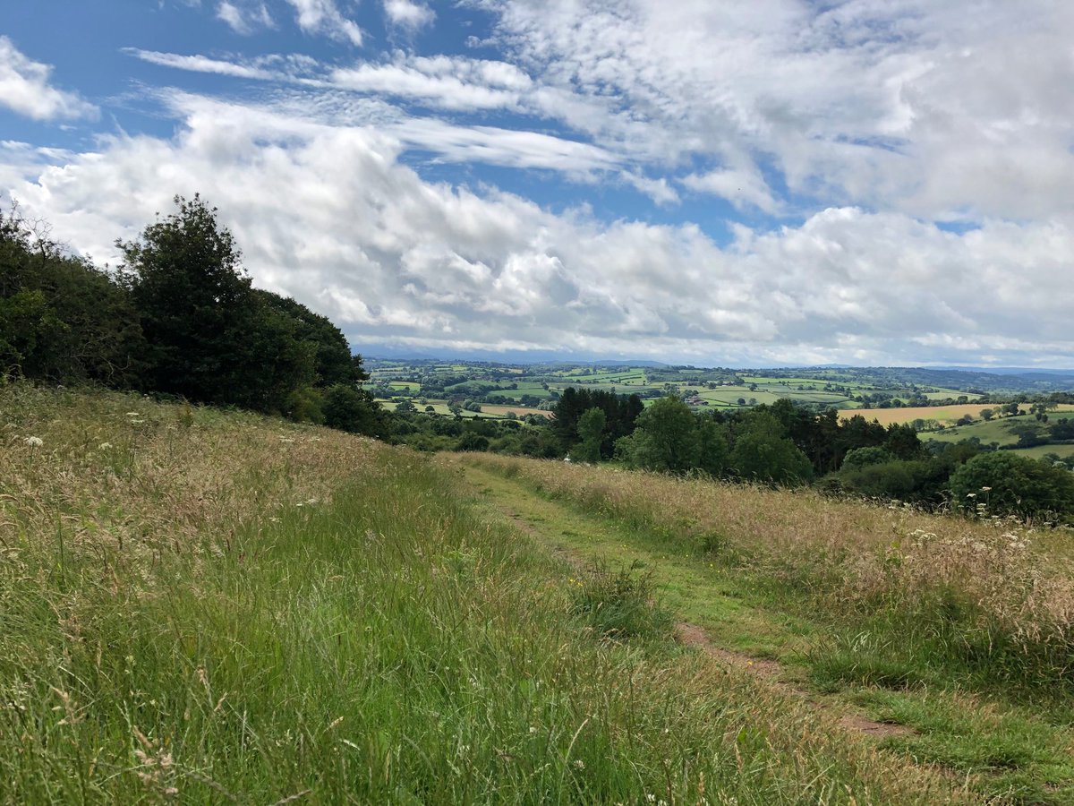 Hello again Herefordshire, it’s been a while #beautifulBritain