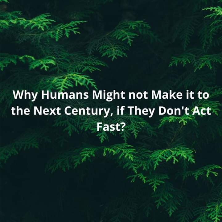 humansofsafepl's tweet photo. (1/2) Why humans might not make it to the next century, if they dont act fast?
#humansofsafeplaces #hosp #worldwaterday #saveenvironment #environmentallyfriendly #environmentemergency https://t.co/FtqF6HUpat