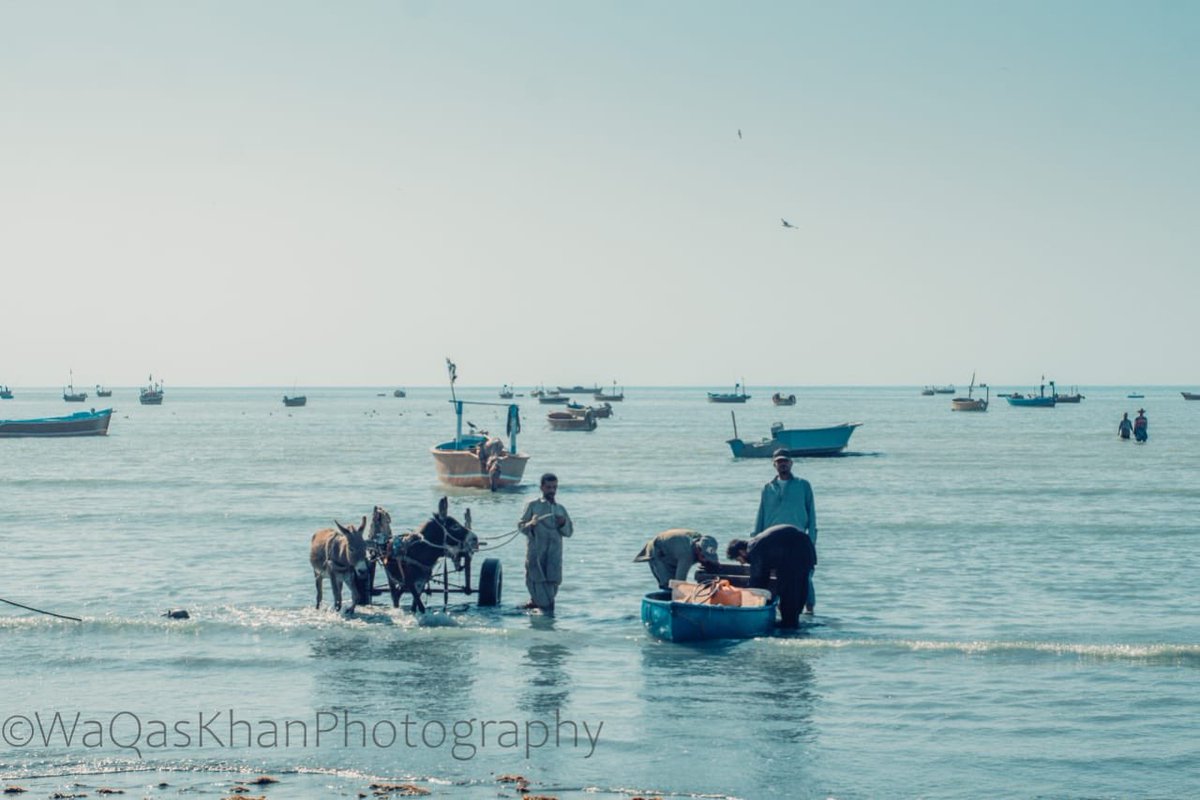 thegwadarpost's tweet image. #WaqasKhan #Photography #TheGwadarPost