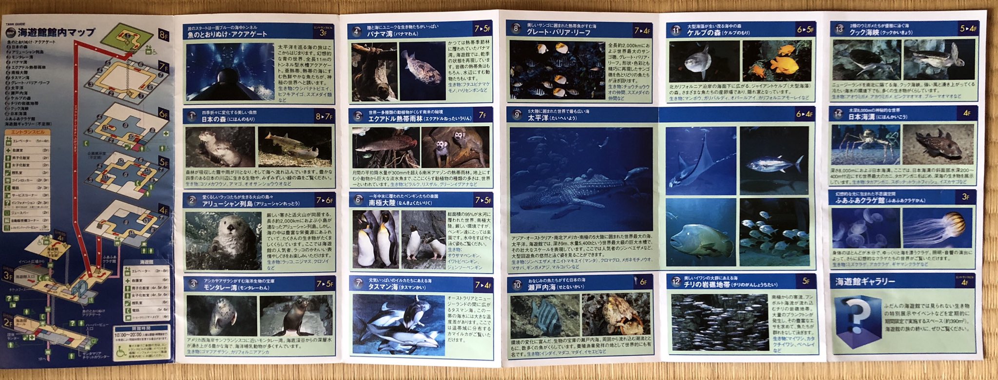 海遊館パンフレット