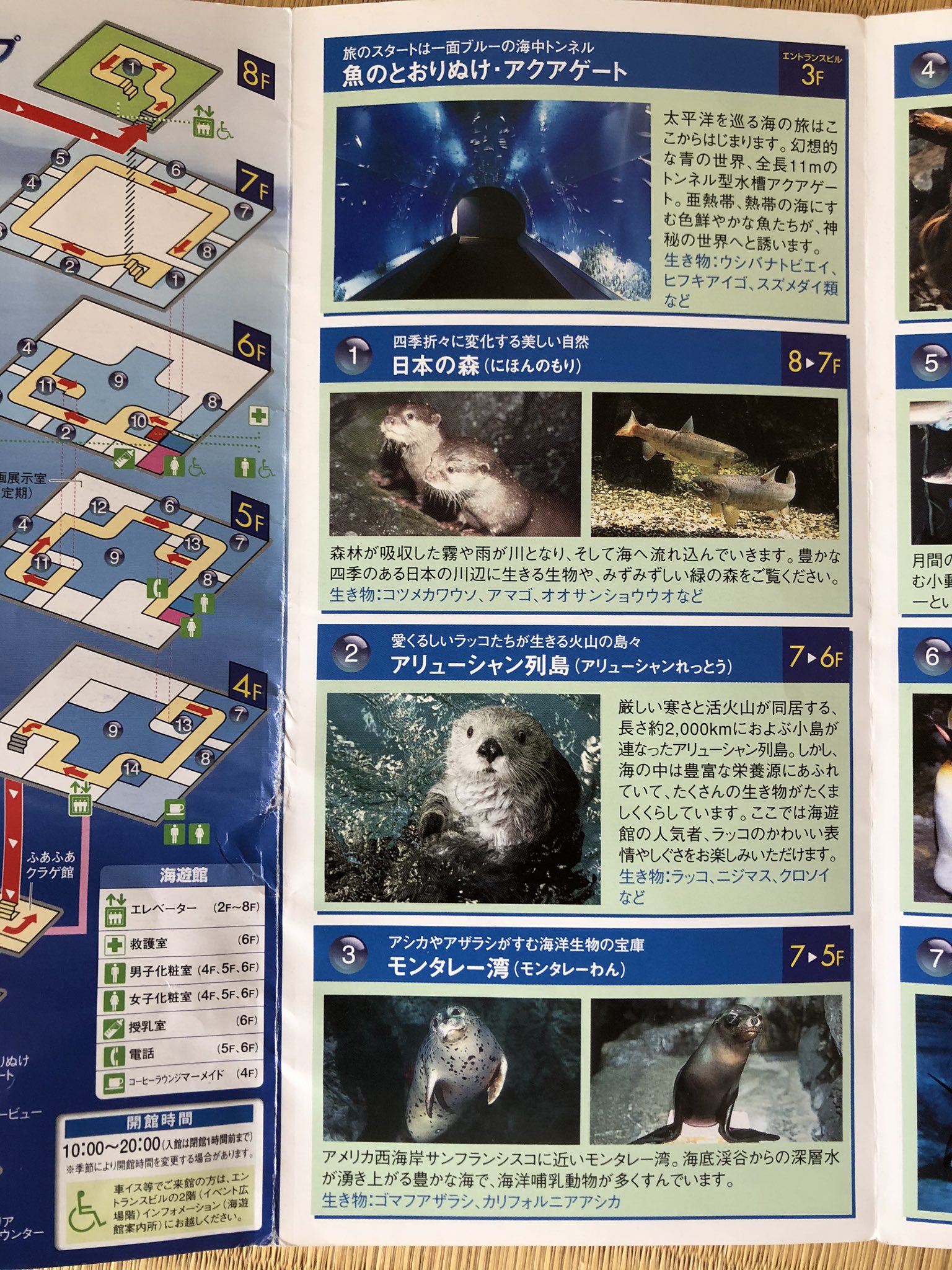 海遊館パンフレット