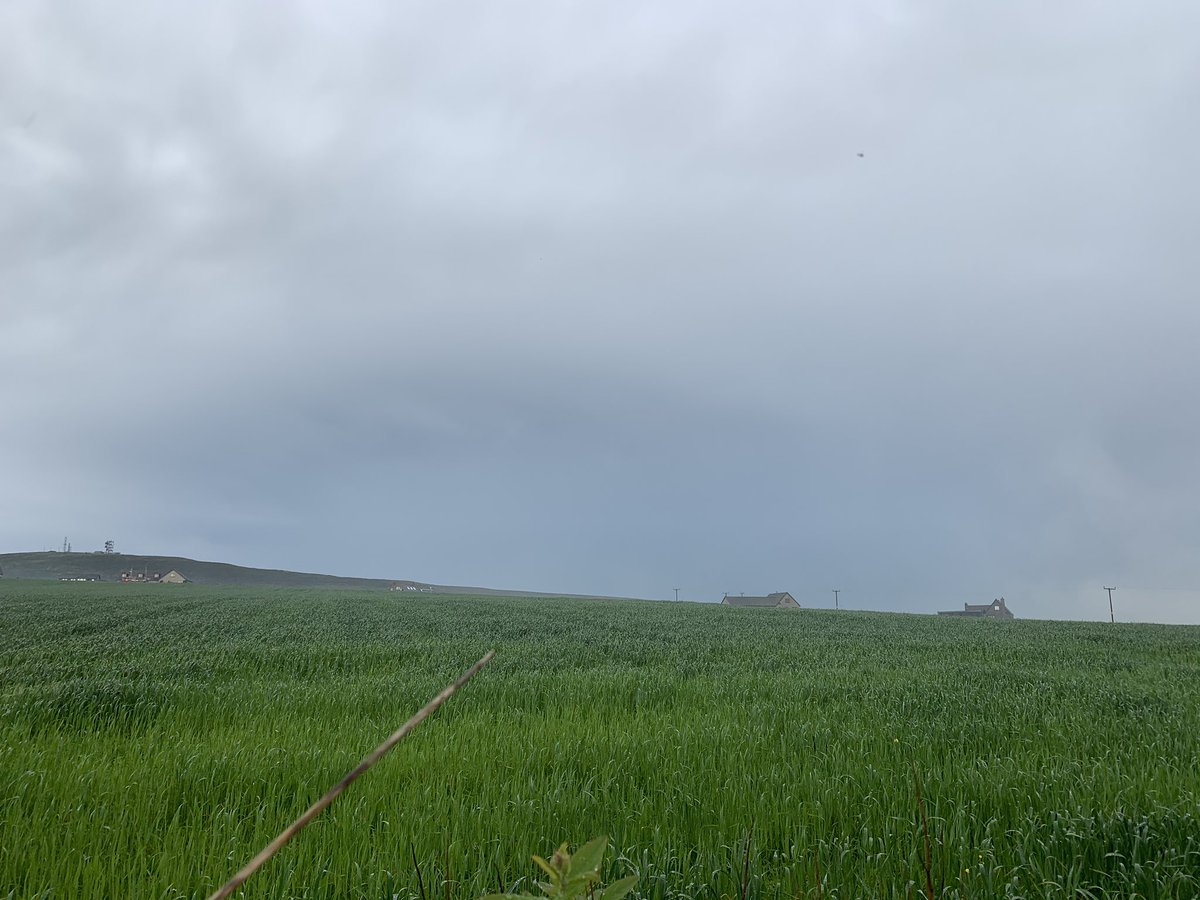 OrkneyUncovered's tweet image. Thunderstorm this morning. I love the storms and the epic pictures you can capture.

#thunderstorm #Orkney #thundercloud #lightning #photooftheday #NaturePhotography #Weathercloud #goodmorning
