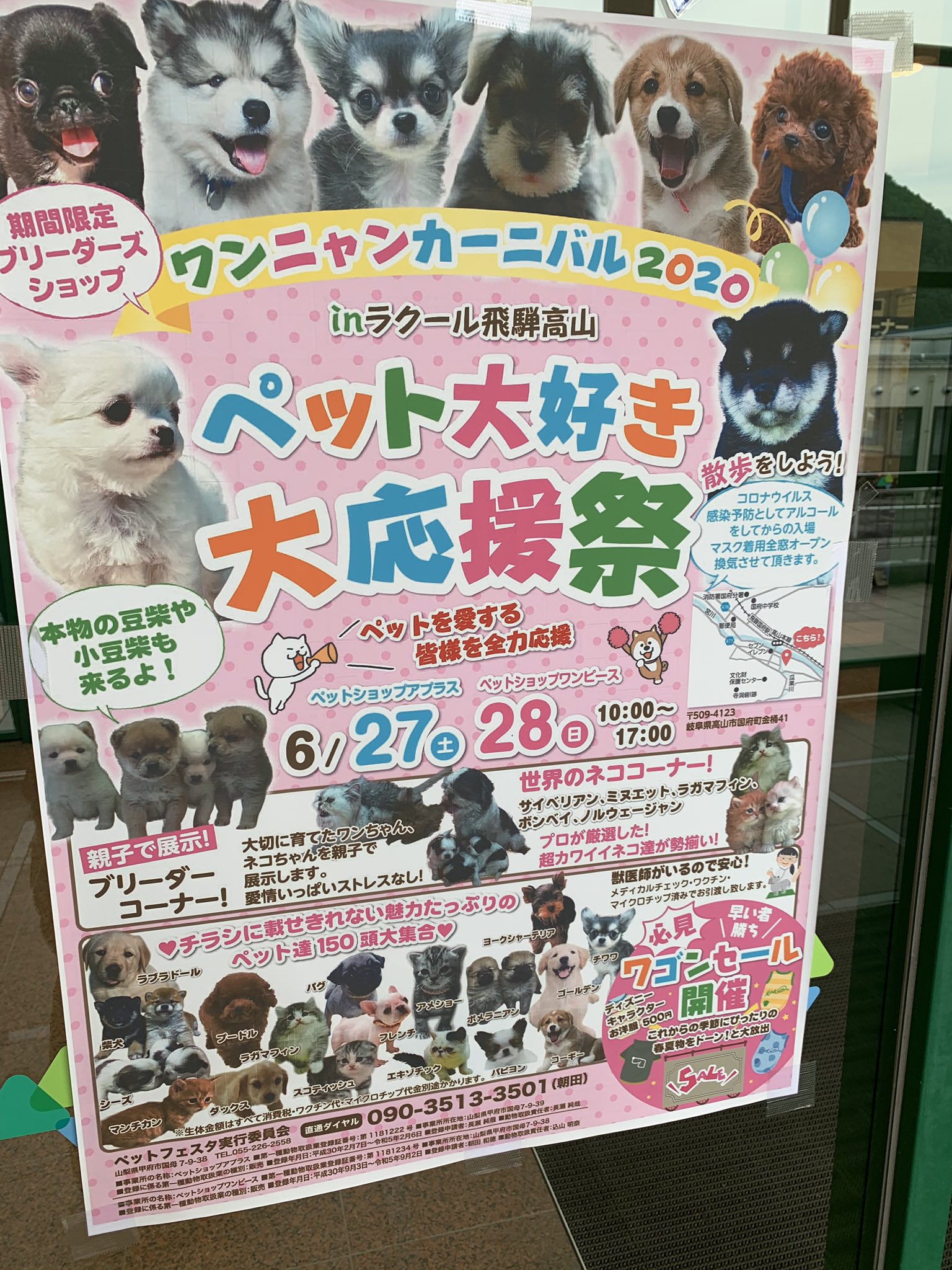 ペットショップワンピース Twitter Search Twitter