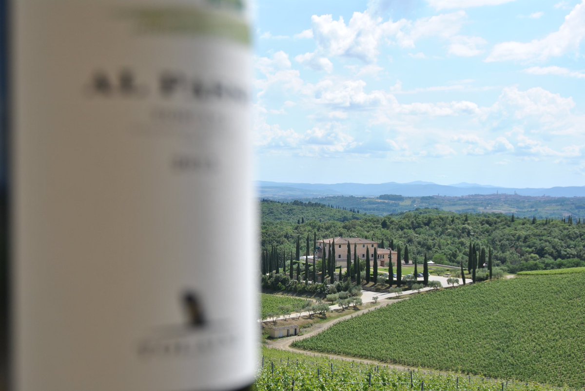 Al Passo, il punto più alto dell’azienda dove è visibile tutta la provincia di Siena e la citta stessa, un luogo magica che sa stupire ogni visitatore.  
Al Passo is the highest point of the estate where the whole province of Siena and the city are visible, a magical place.