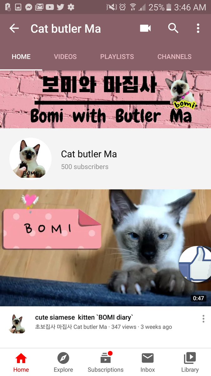 bomithecat's tweet image. Reached 500 subscribers 😍😍😍
Thanks for subscribing and watching my videos. Visit my channel⤵ #CatsOfTwitter
m.youtube.com/watch?v=7ZelTq…