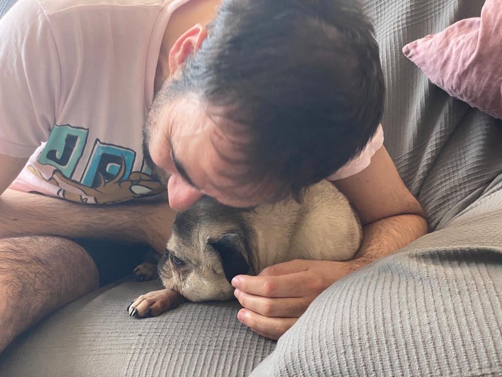 Raúl Fernández tweet media