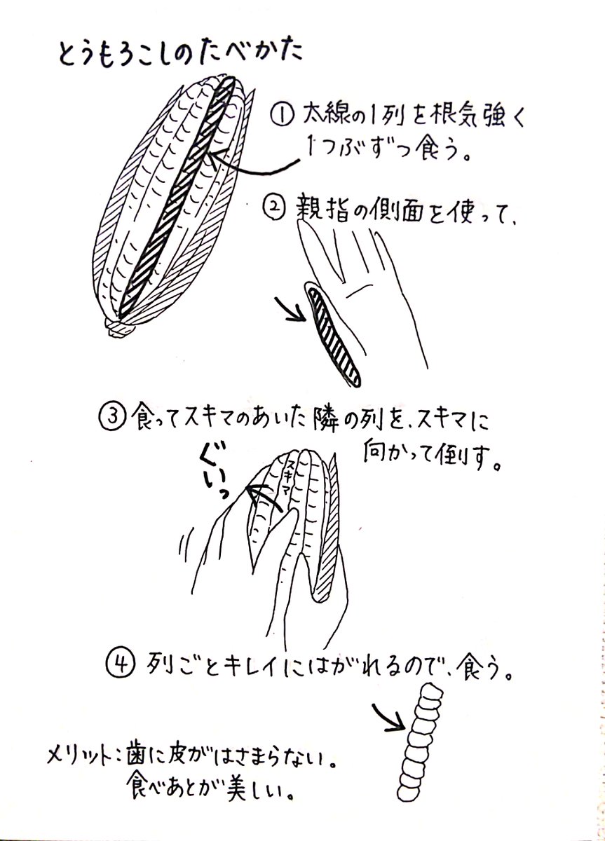 とうもろこしを美しく食べたい方へ 