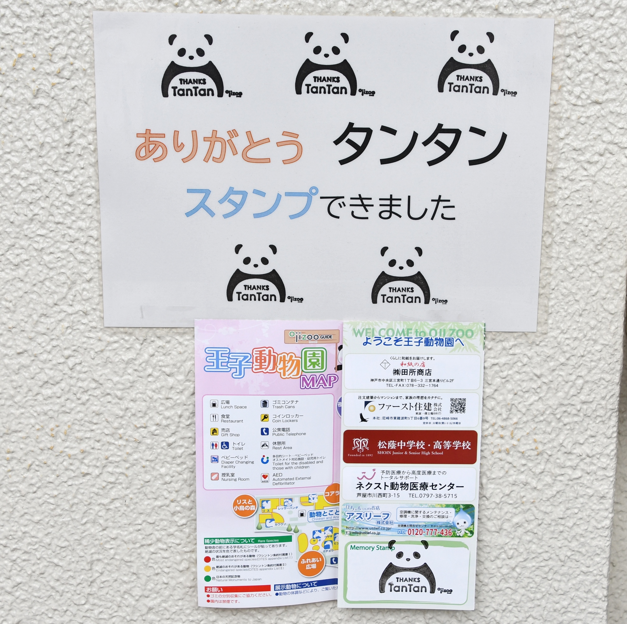 神戸市立王子動物園（公式） على X: 