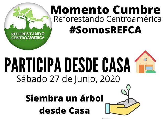 Momento cumbre 🌳🙌🏻 Recuerda tomate una foto y compártela utilizando el hashtag #SomosREFCA