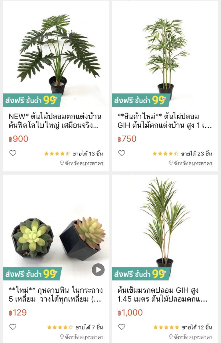 𝘾𝙝𝙖𝙢𝙨𝙜𝙞𝙧𝙡 on twitter ว ถ คนแต งห อง สไตล ม น มอลแบบเราจะขาดไม ได ค อต นไม ปลอม เราเลยมาแนะนำร าน greeninhouseในช อปป เป นร านท เราเพ งส งไป ค อเขาขายต นไม ปลอมและม แทบท กชน ด อย างต นไทรใบส ก ต นกระบองเพรช ต นไผ และม แทบท กขนาด ราคา