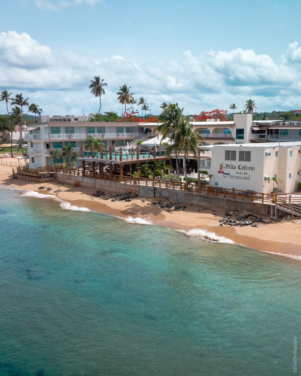 VicTorManuel29's tweet photo. Les quiero compartir este lugar maravilloso, dónde tuve la oportunidad de tener unas vacaciones espectaculares y un trato exelente.
🛎️ @hotelvillacofresi
💻 @voyturisteando #checkinportuisla
#evophotography #villacofresi #PuertoRico #Rincón 
Instagram: https://t.co/rAVwPl8qZr https://t.co/ubJzMWFCMM