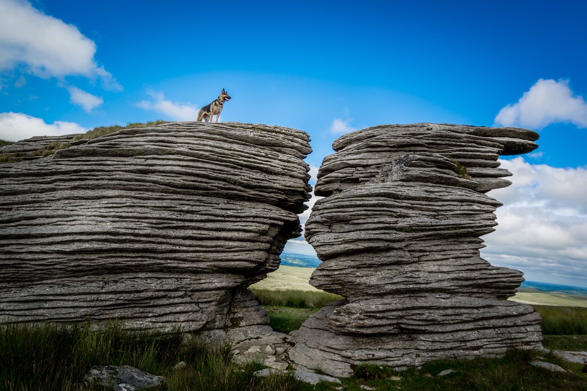 Perspective 🐶🐾🐶

#Dartmoor #WaternTor #GSD #DogsofTwittter #SaturdayThoughts