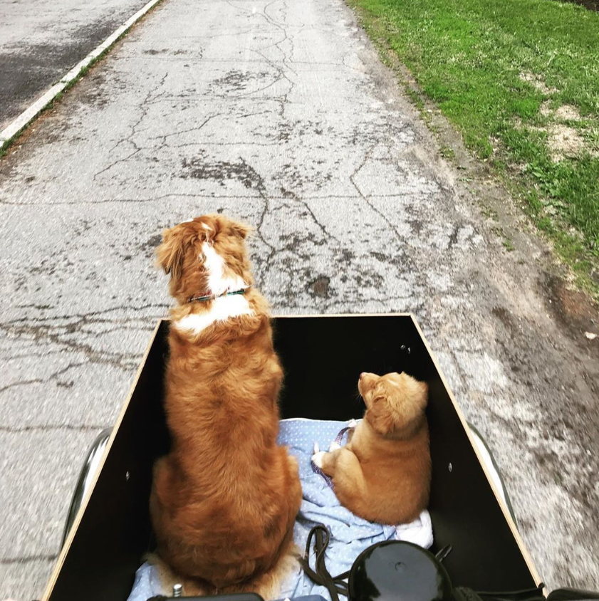 "I hope this ride lasts forever beside of you!"

Says Hilma the toller