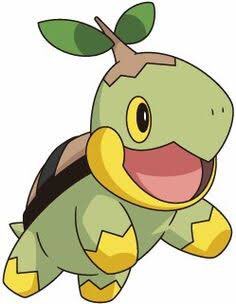 tuwaine as turtwig.