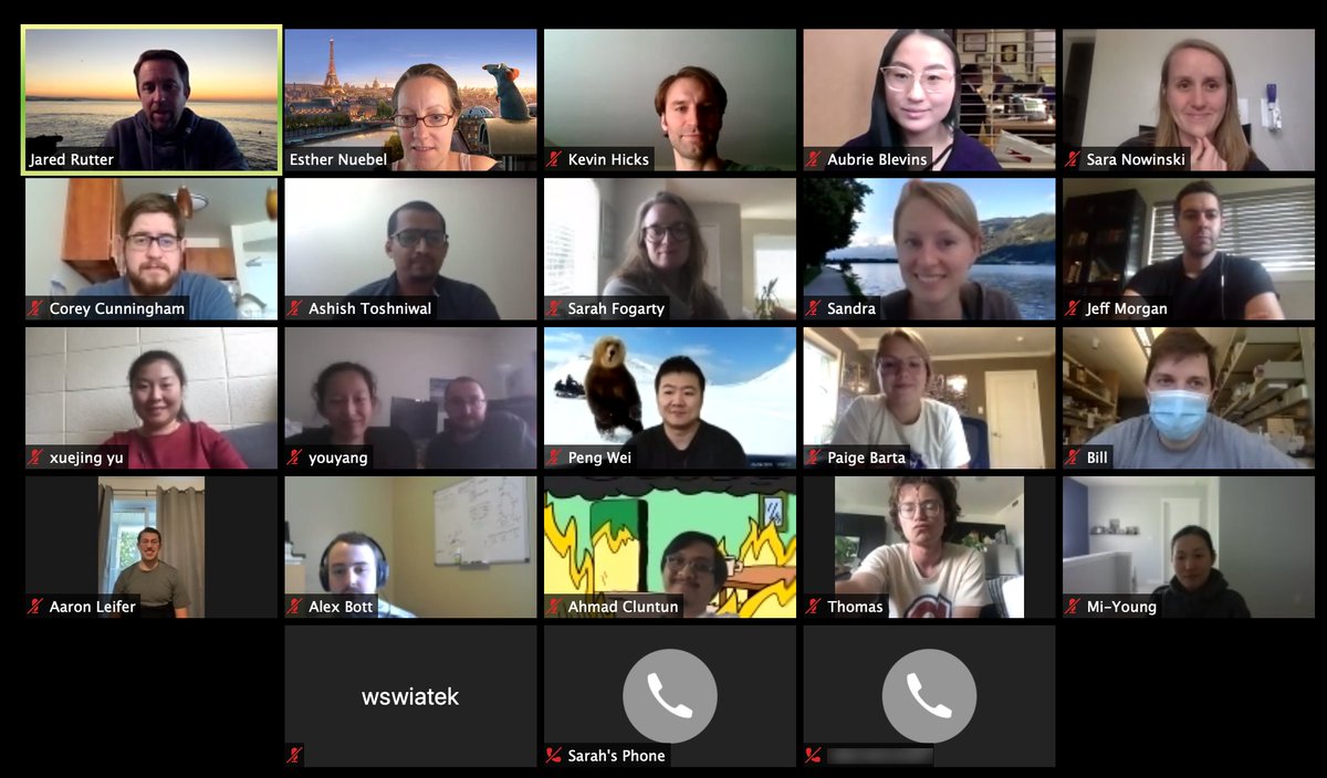RutterLab's tweet photo. Our @zoom_us lab meetings with and without everyone non-🇺🇸 born. Diversity represented: India🇮🇳, Germany🇩🇪, Saudi Arabia🇸🇦, Poland🇵🇱, South Korea🇰🇷, China🇨🇳, The Czech Republic🇨🇿 and Ireland🇮🇪! #ImmigrantScience #MitoScience https://t.co/VhneLB0XY7
