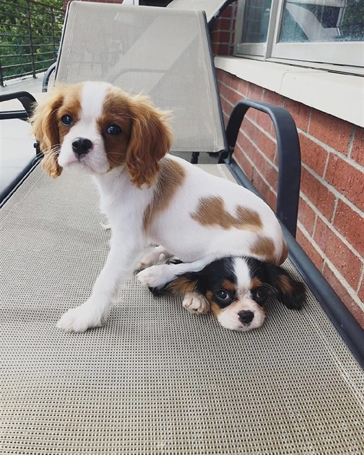 RobinLyfe's tweet image. Caption this 👇🤣