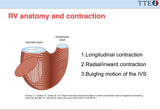 Look for acute cor pulmonale using FUSIC techniques  http://bit.ly/3eQihuI 