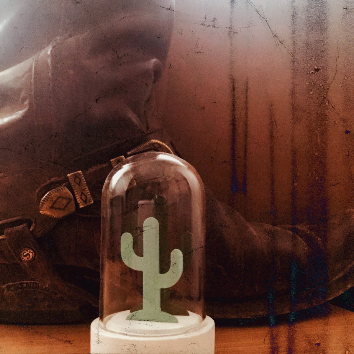 Grandes <a href="/TheDanielRomano/">Daniel Romano</a> @TomaUnoR3