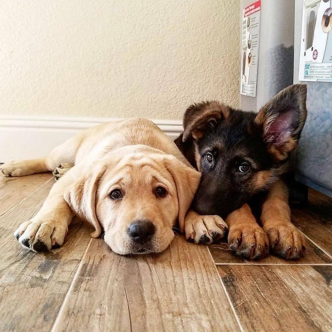 jacobsmark4's tweet image. 