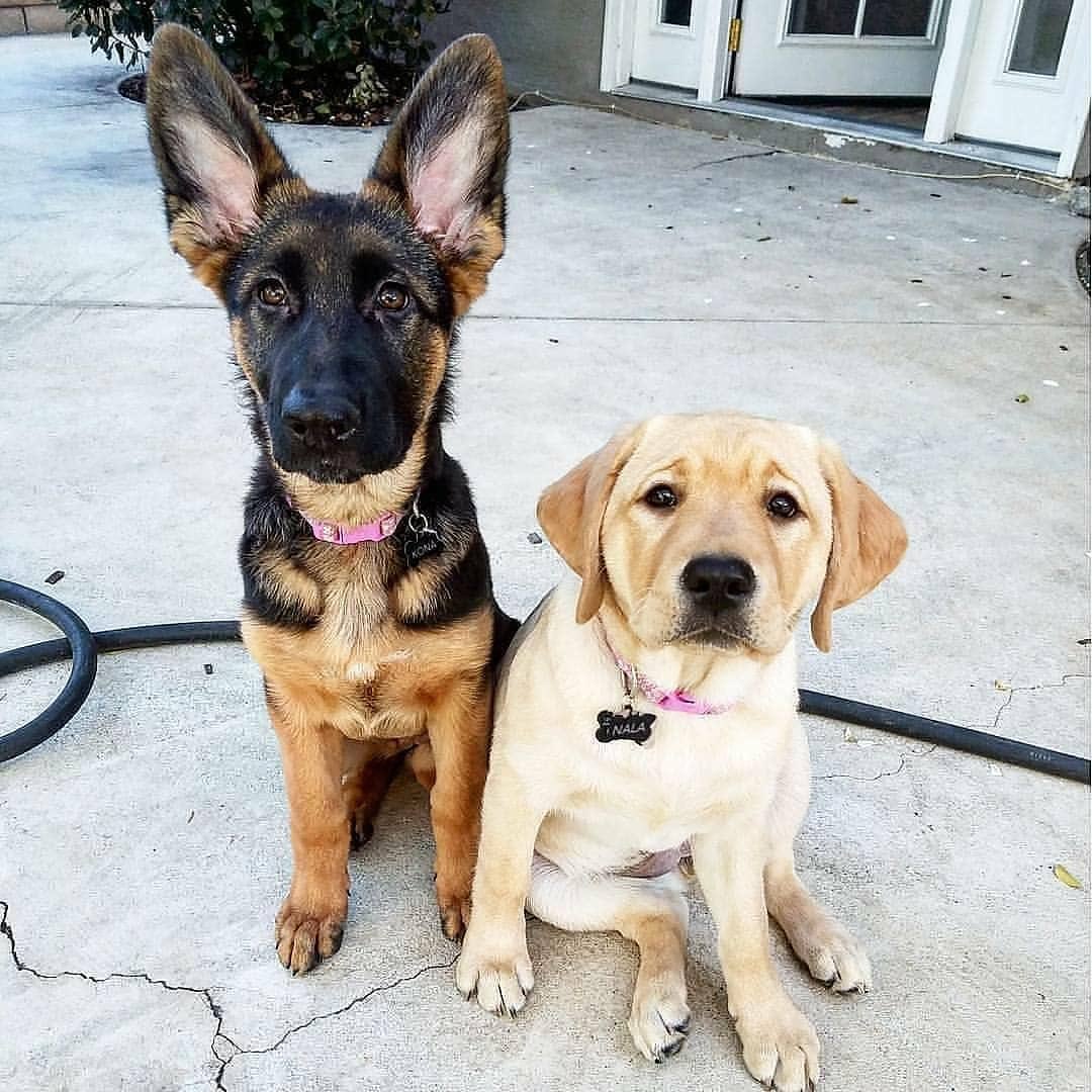 jacobsmark4's tweet image. 