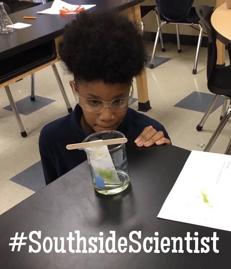 DCSSouthside's tweet photo. Join our family of future scientists, artists & world changers! DCSS is still accepting applications for 2020-21 https://t.co/Wgz3Fi10qu Waiting lists have started for a few grade levels. Friends donโt let friends end up on a waiting list! #DCSSRocks #StingrayStrong #CSUSAproud https://t.co/p5YtHLgy1F