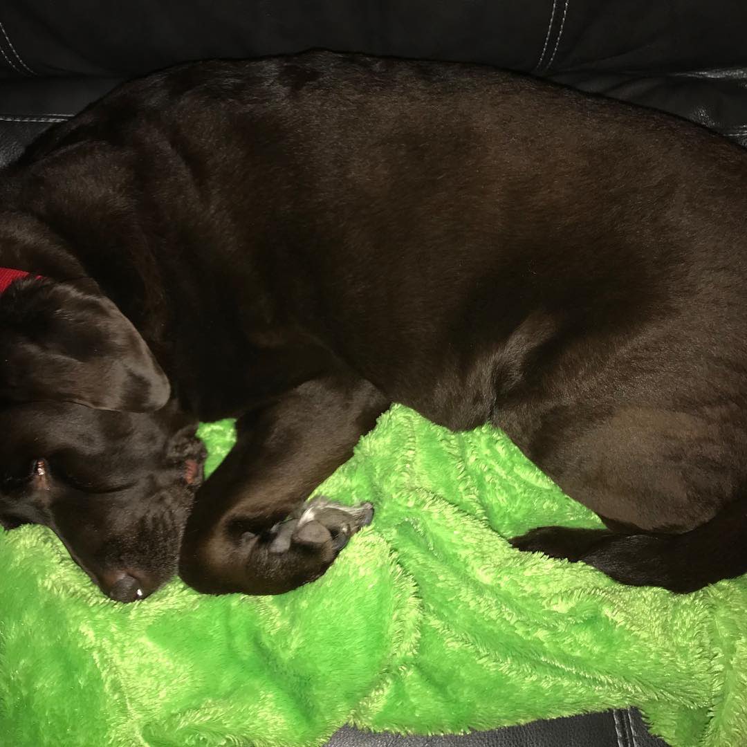 jacobsmark4's tweet image. Missed you Splash