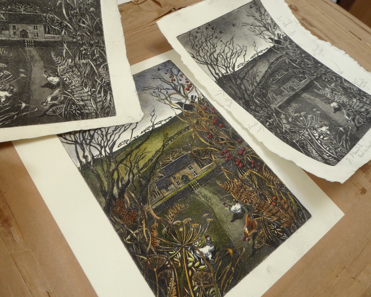 New copperplate etching, nearly finished. It's a real place, a cottage set back in a field, along a little lane. Here it is, in late autumn, seen through overgrown bracken and berried climbing bindweed..
#ruralart #countrycottage #etching #womenartists