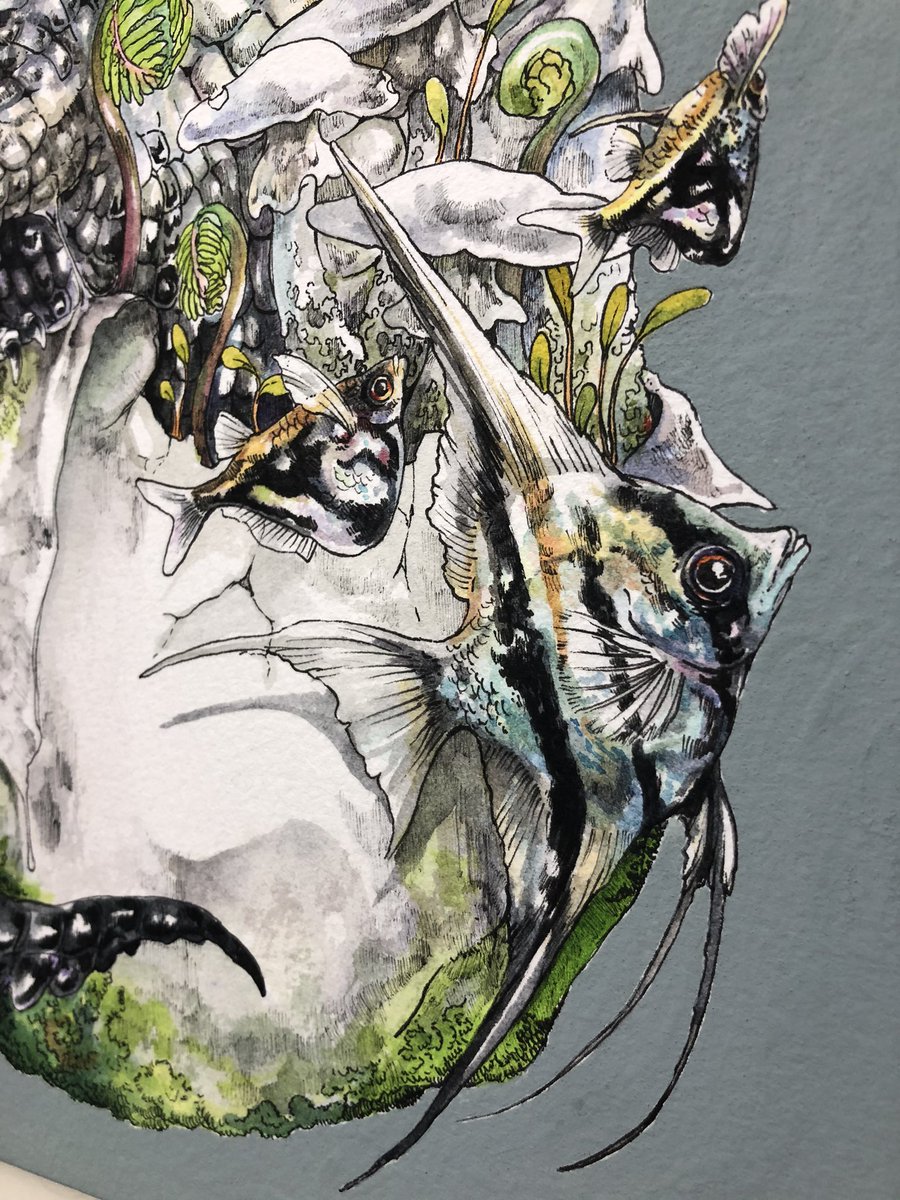 「『原始』F3号 水彩 ペン アクリル
カイマン種の子どもをメインに、孵化の様子を」|Keso Artのイラスト