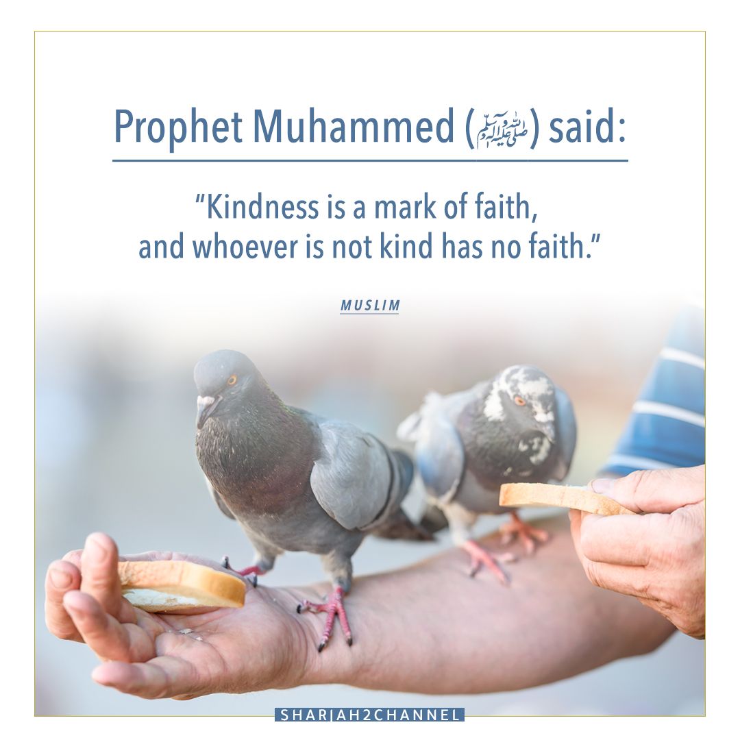 kindness quotes islam