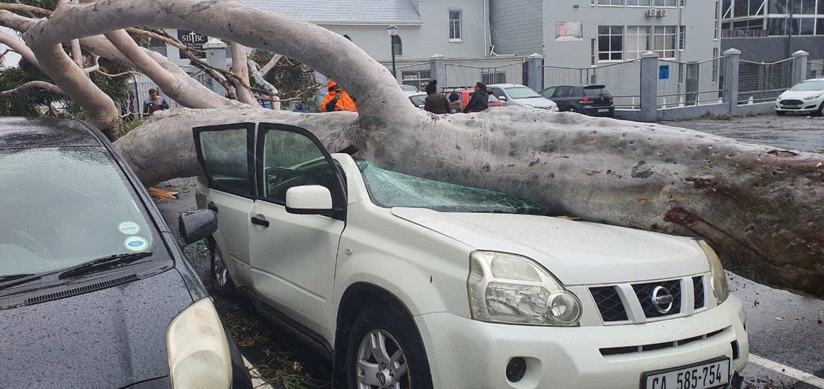 DJ Ready D tweet media