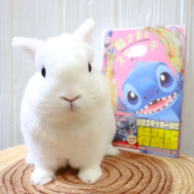 スティッチのtwitterイラスト検索結果 古い順