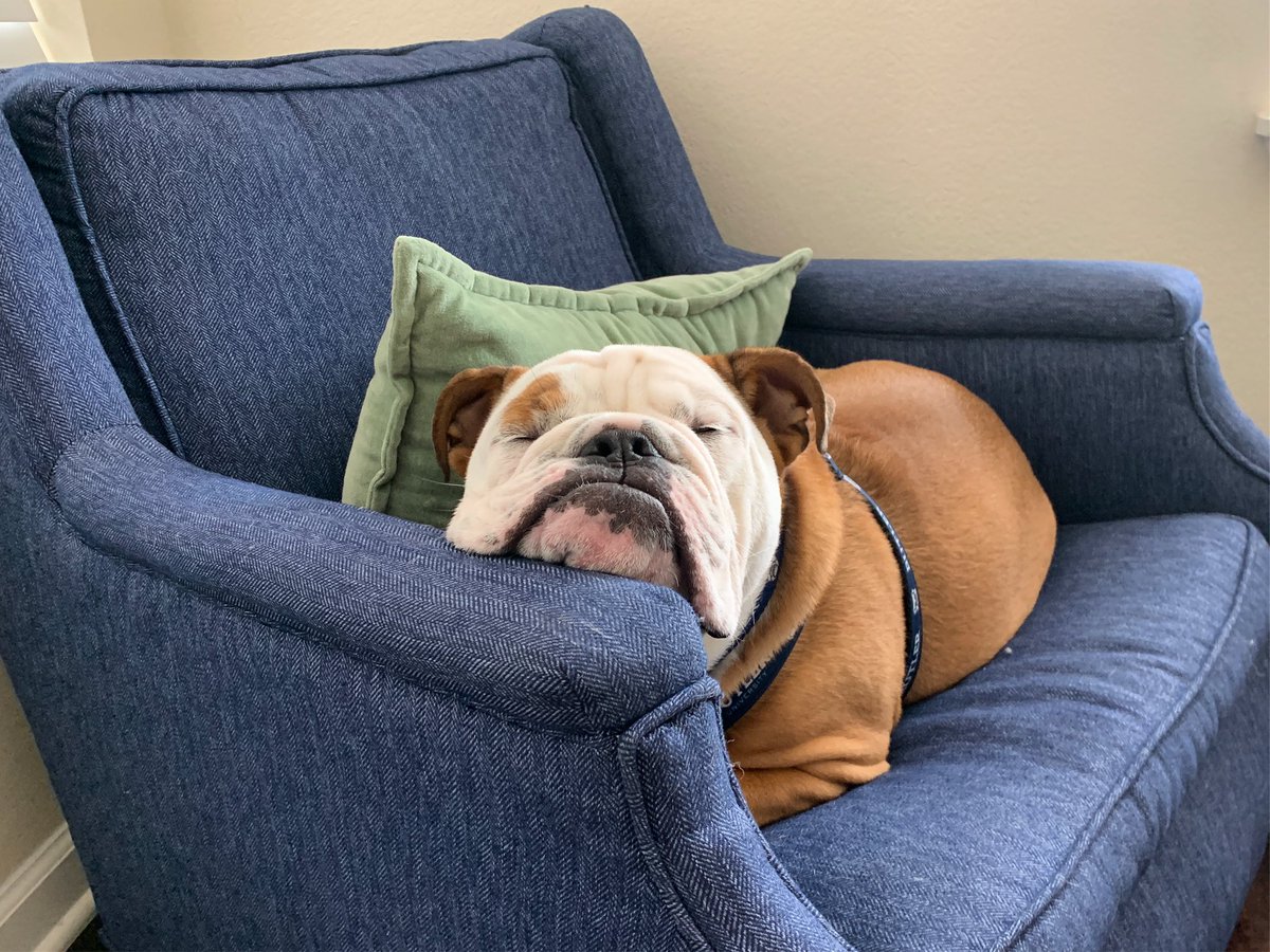 Go back to sleep. You deserve it.😴 #GoDawgs