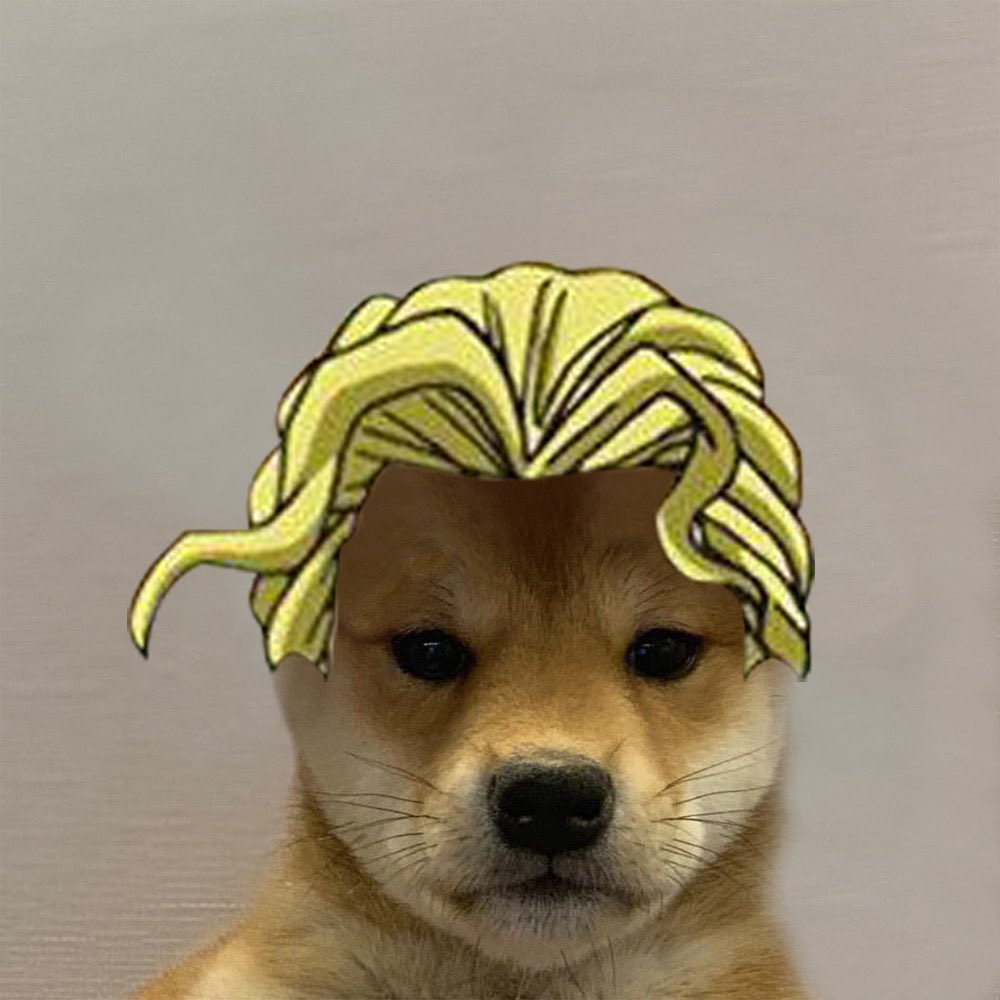 Собака в шапке мем. Собака джо джо ава. Крутые собаки. Доги в шапке. Собака в шапке мем.