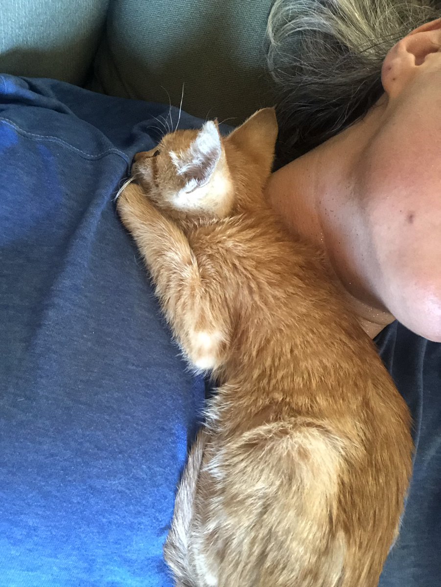 Today she came home with us!! And is the newest member of our family!!