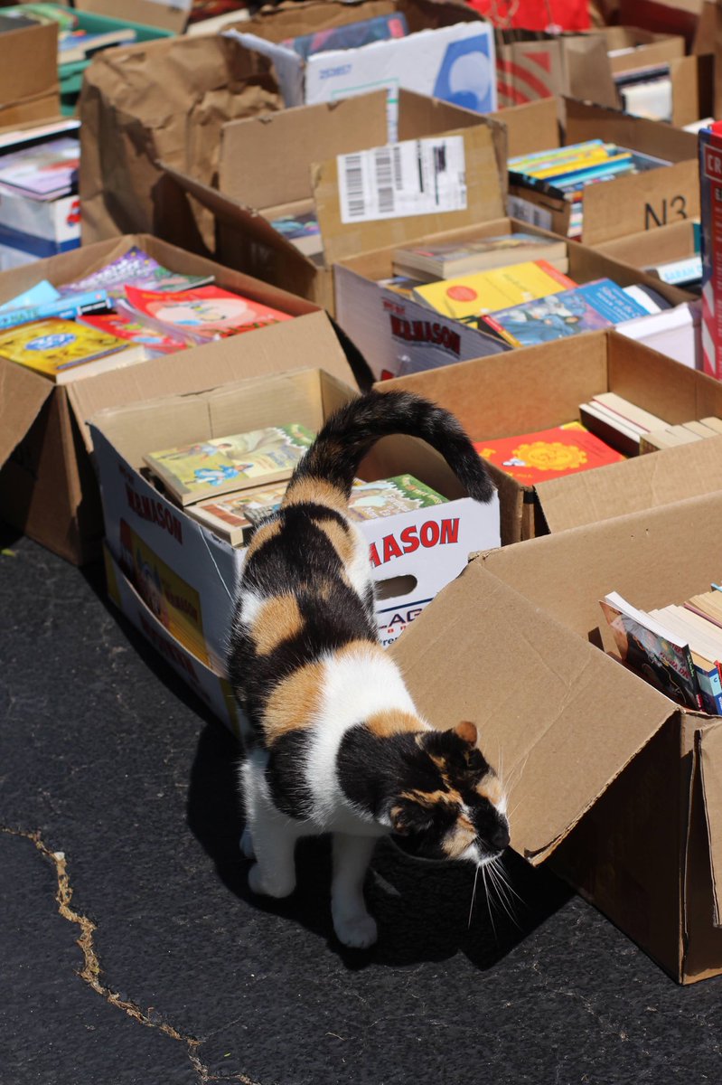 WriteRochester's tweet image. Our first book drive was a success! We were able to donate 2,827 books to Bright Red bookshelf! We truly appreciate everyone who donated; keep an eye out for more book drives soon!