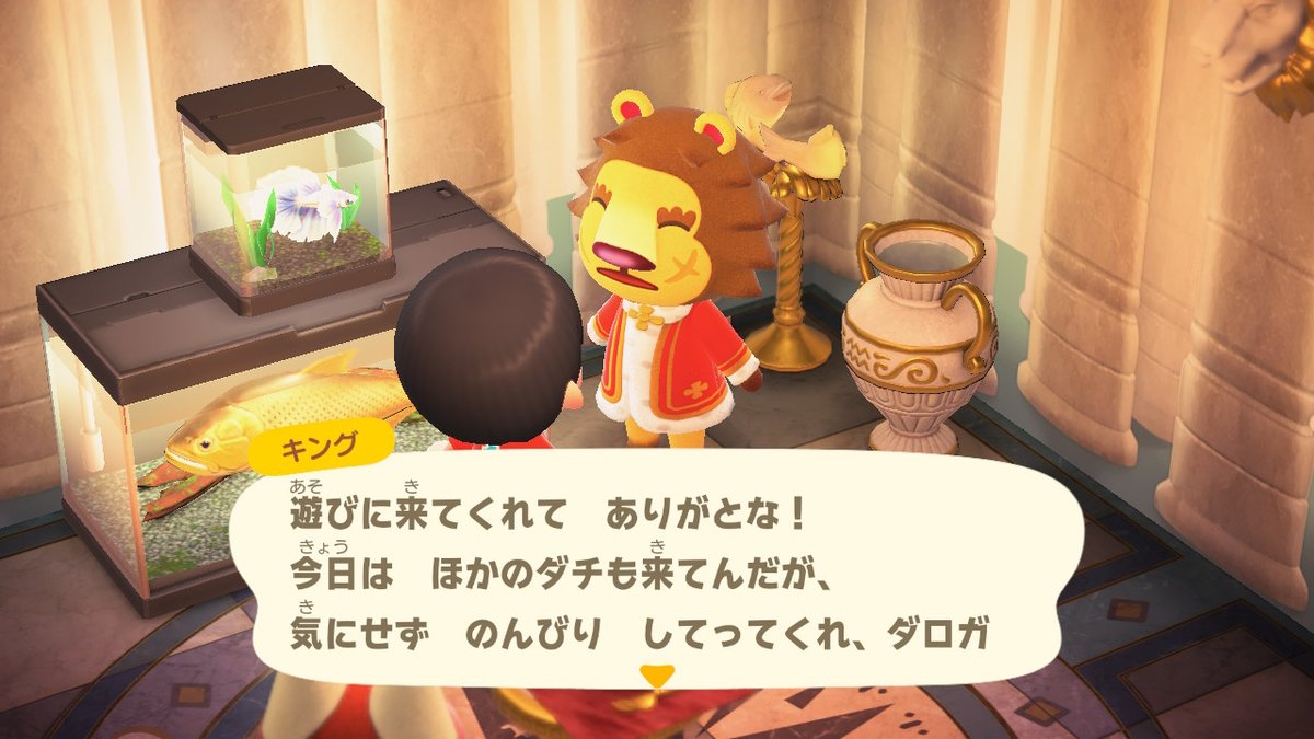 Newもりとwithツイッター局 どうぶつの森 Animalcrossing Acnh Nintendoswitch もりとのあつ森無人島生活 もりとのあつ森無人島生活 100日目 キングとみかっち キングの家に行ったら みかっちもキングの家に遊びに来ていた キングが家にいる時に