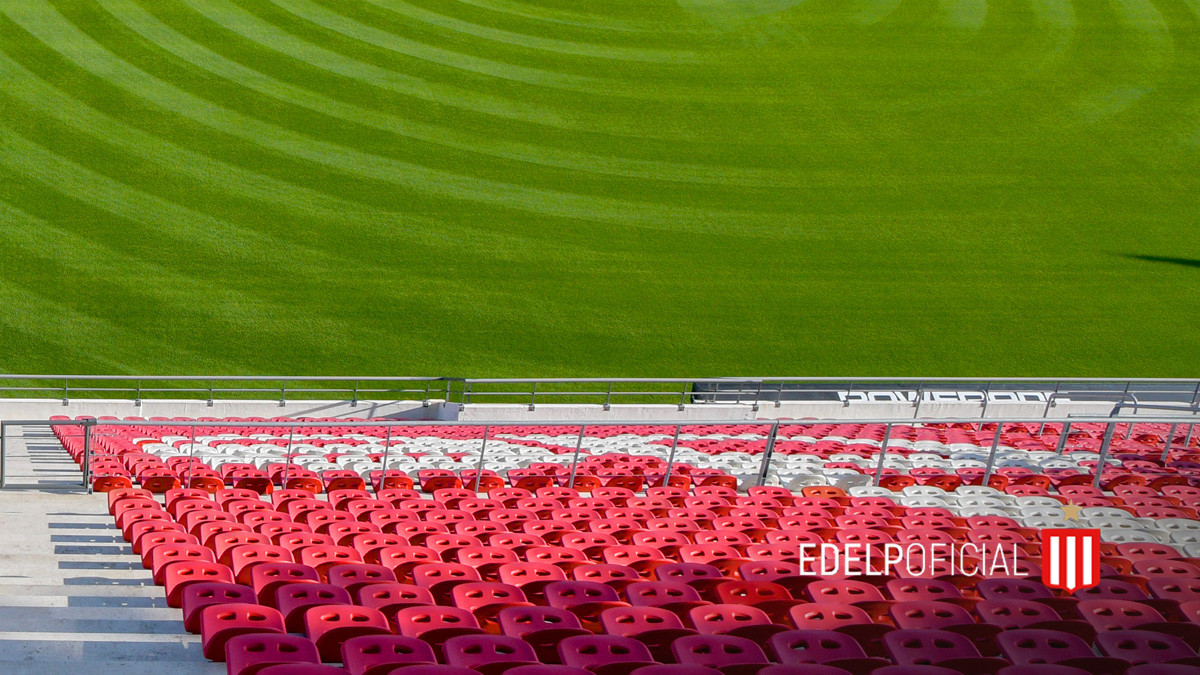 EdelpOficial's tweet photo. 🏟 UNO 💚 El lugar en donde quiero estar... https://t.co/UeIbWhoYsa