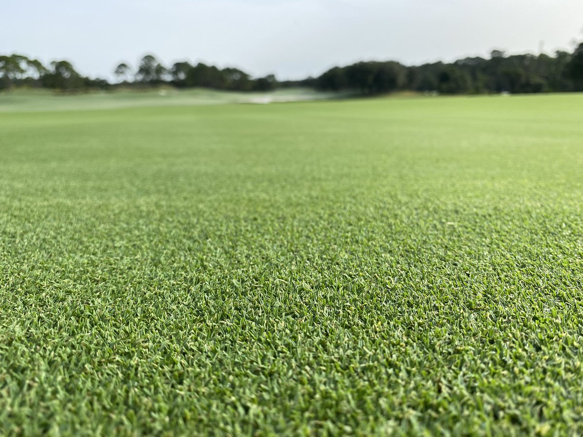 StephenTucker7's tweet photo. Warm in Central Florida this week but the golf course @FSOrlando is handling it well! Aerification and 10”deep drill coming on the 6th! https://t.co/sUizoPuoPW