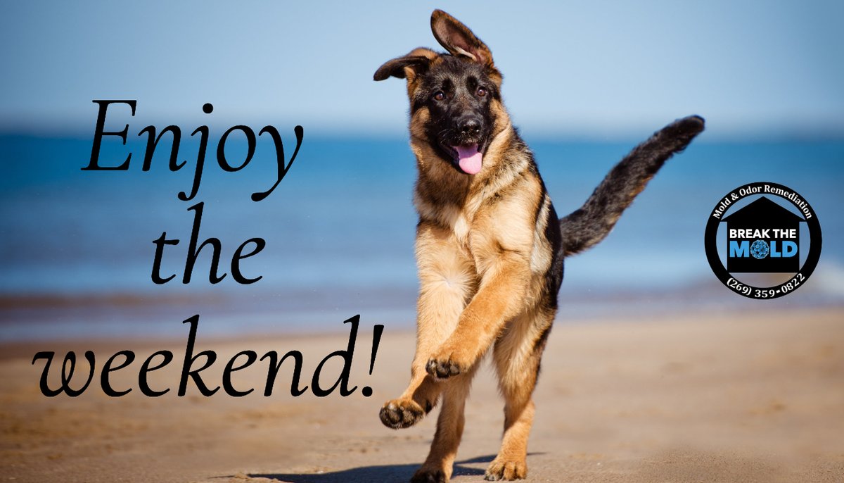 moldodorguykzoo's tweet photo. Wishing you a wonderful weekend! 

#ShepherdSaturday #BreakTheMoldKzoo #Kalamazoo #MoldGuy #GrandRapids https://t.co/PNhpUjtoY2