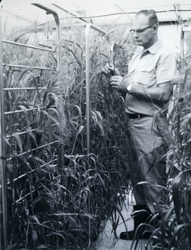 BTN LiveBIG (@btnlivebig) on Twitter photo 🎉 Celebrating 50 years of groundbreaking scientific discovery at <a href="/UWMadison/">UW–Madison</a>’s famed Biotron 🧬 🌱 👩🏽🔬
For more: news.wisc.edu/biotron-celebr… 🎉 Celebrating 50 years of groundbreaking scientific discovery at <a href="/UWMadison/">UW–Madison</a>’s famed Biotron 🧬 🌱 👩🏽🔬
For more: news.wisc.edu/biotron-celebr…