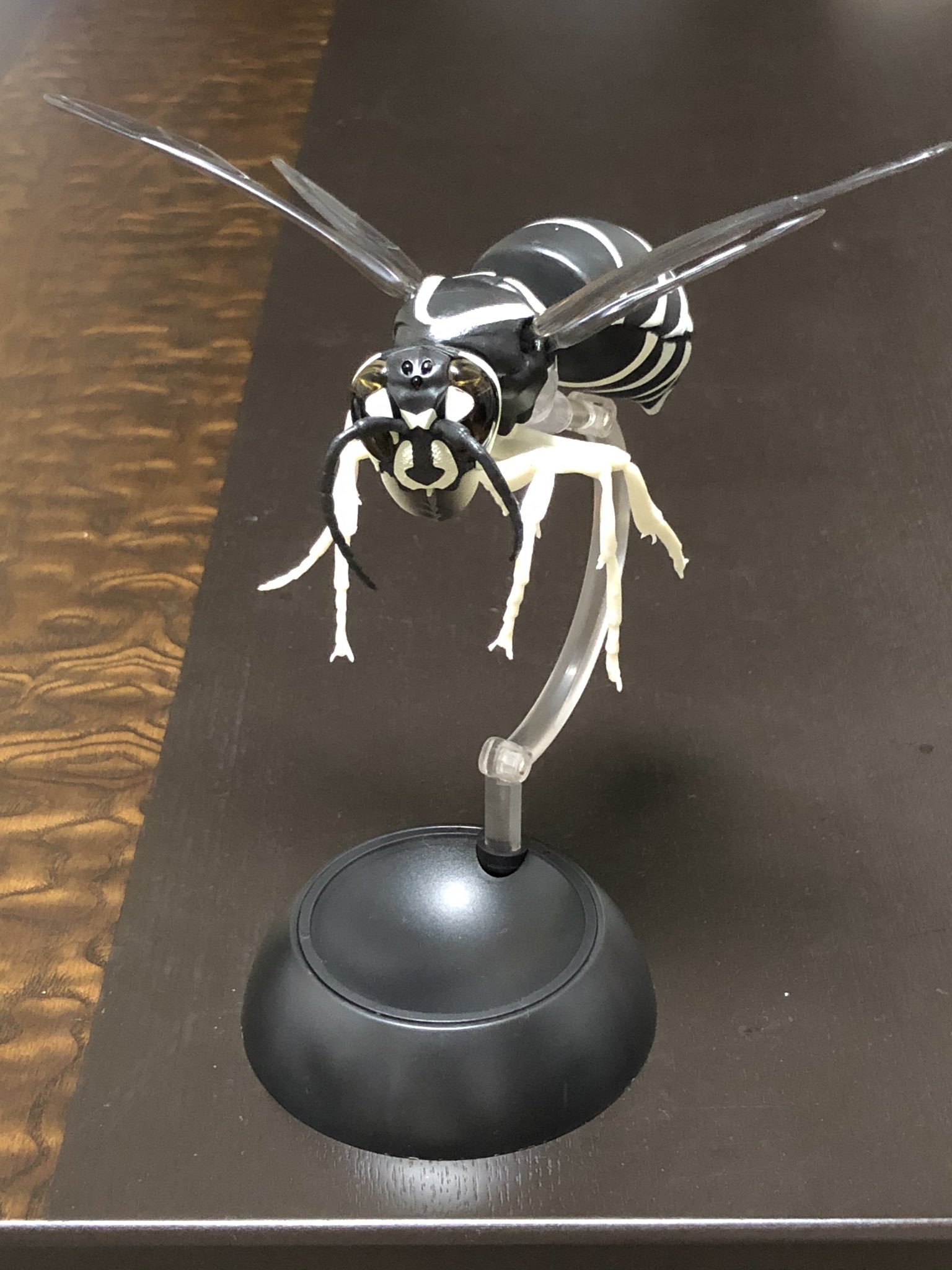 やま 今日は朝からカメさんの水換えをした後 午後に浜松のイオンモール市野へ そしてゲットしました スズメバチガチャ まずはクロスズメバチ 白と黒のカラーリングが凶悪な雰囲気でめちゃくちゃかっこいい スズメバチガチャ クロ