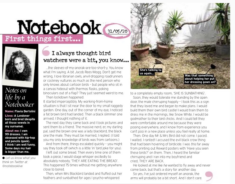 fluffyberty's tweet image. A couple of my recent columns about #lockdownlife that I didn’t post. First, about how we’ve all become lockdown #birdwatchers and the endless #lockdownchallenges doing the rounds. #notebookmagazine #firstthingsfirst Hope they make you lol. ❤️