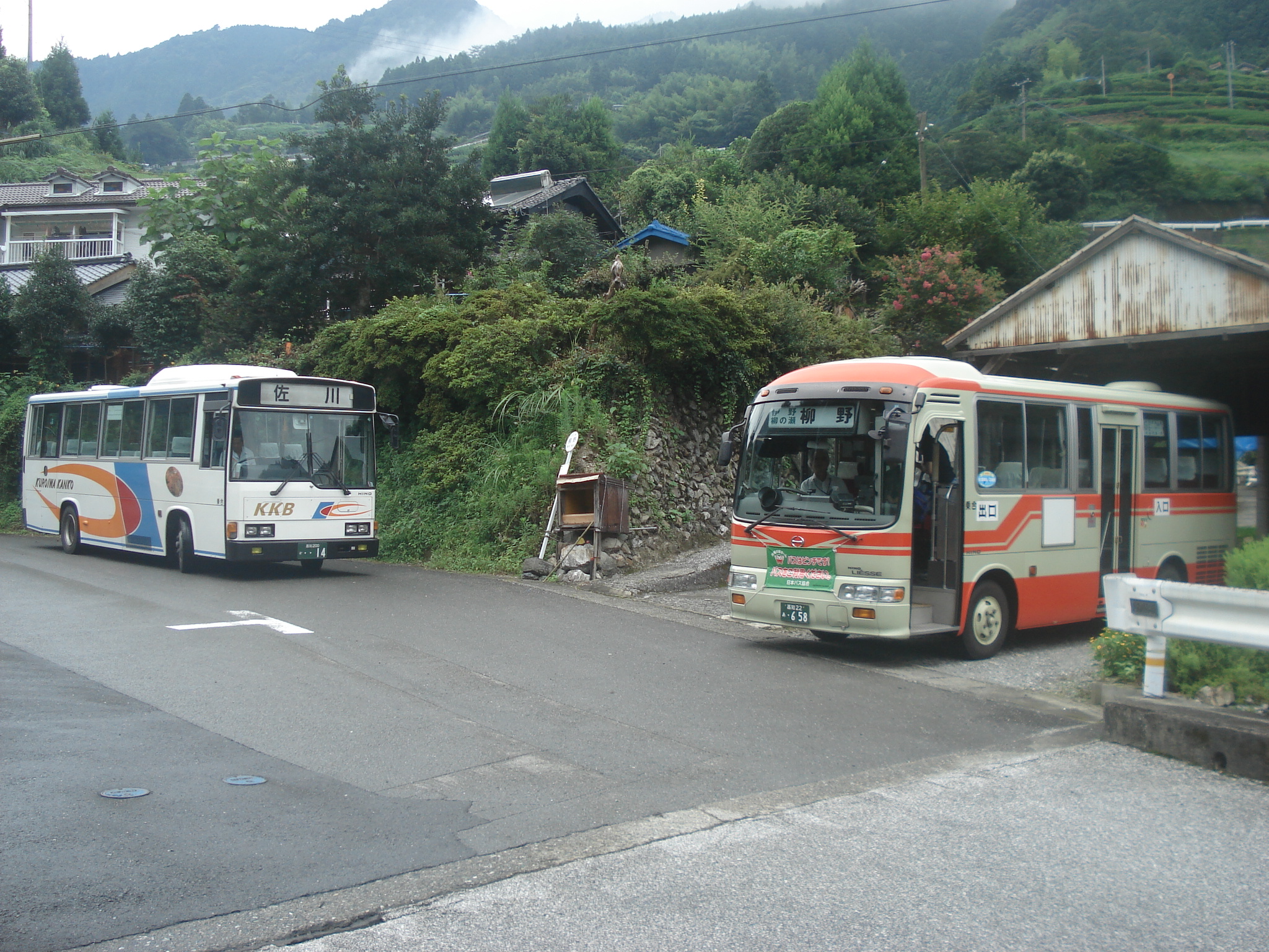 ぼわ北大路魯山人　志野葉形付／共箱・共布／二枚組 増尾城址総合公園、北柏ふるさと公園、柏ふるさと公園（千葉県柏