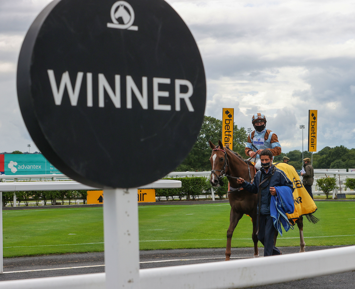 NewcastleRaces's tweet photo. The @betfair Northumberland Plate Day will certainly go down in history! We hope you enjoyed watching from home!

The feature race of the day, the Betfair Northumberland Plate Handicap was a brilliant spectacle with Caravan Of Hope and @HarryBentley_  winning for @hpalmerracing! https://t.co/scDCMCw22Z